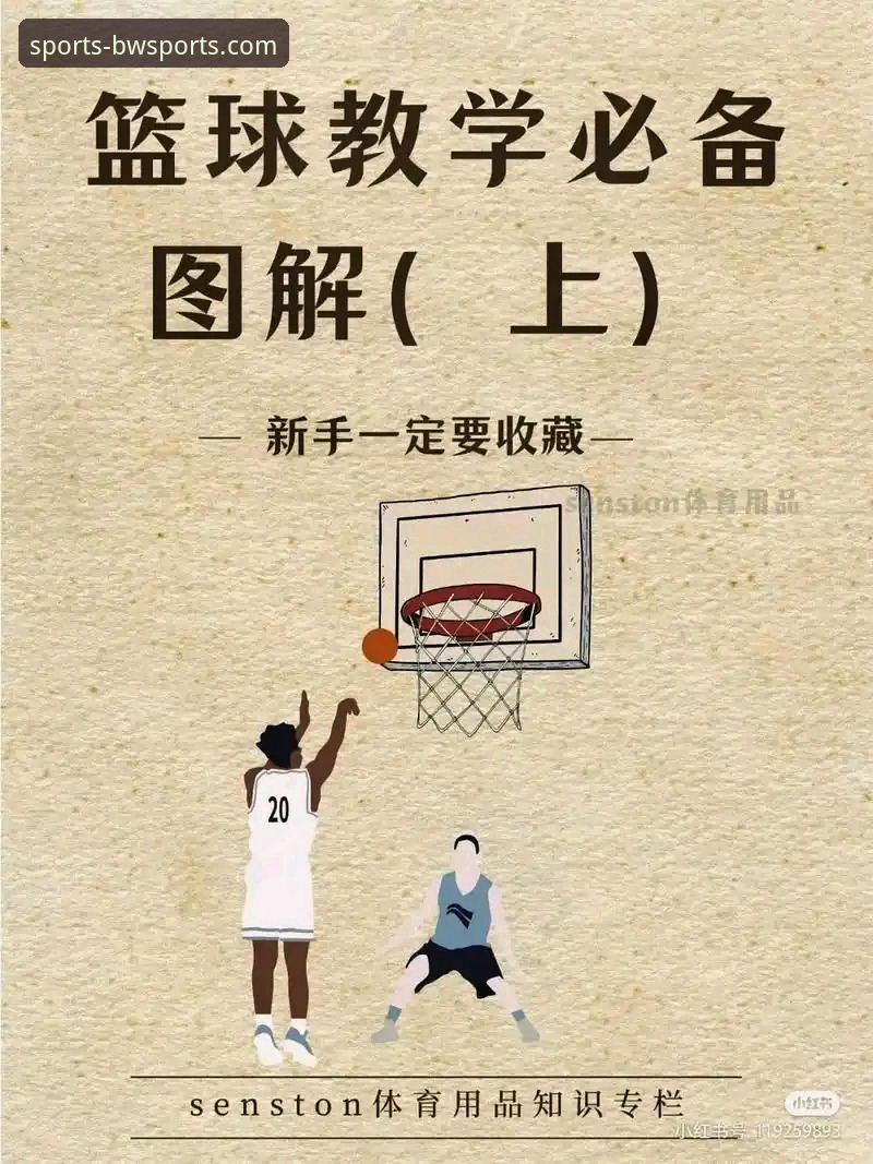宝威体育平台新手教程详解：从下载到精通